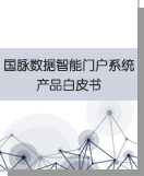 國脈數(shù)據(jù)智能門戶系統(tǒng)產(chǎn)品白皮書