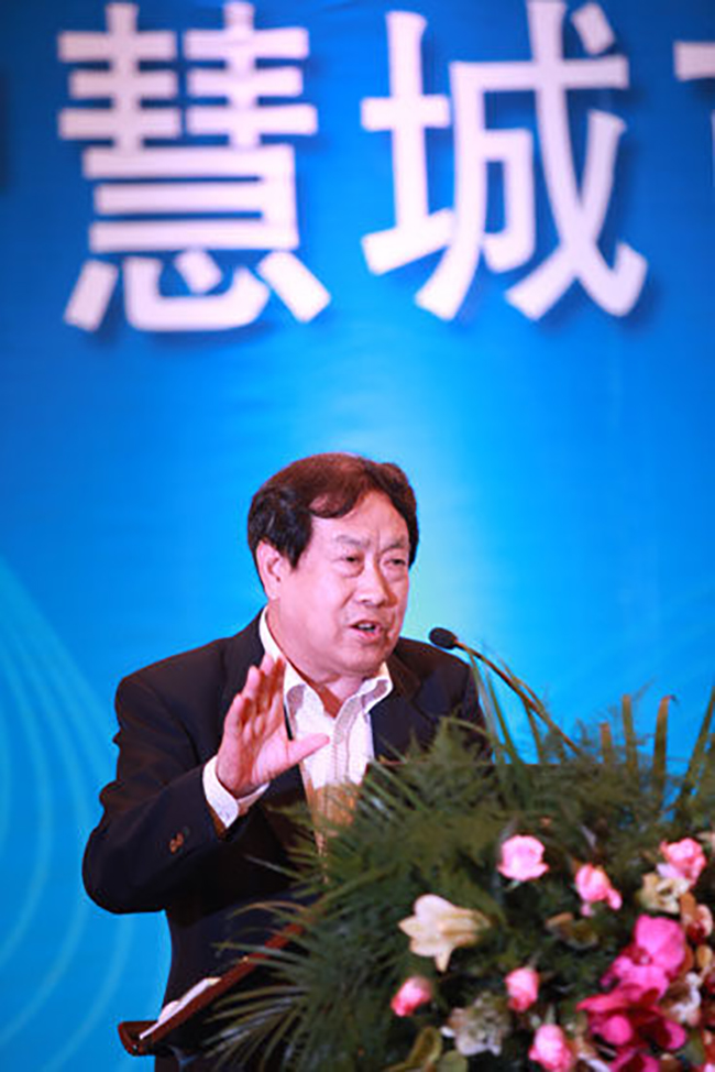 國家行政學院教授汪玉凱正在點評