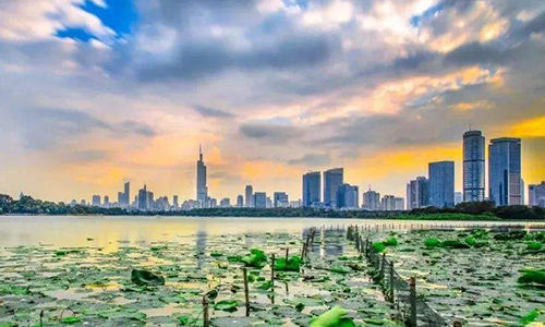 國脈中標南京市優化營商環境項目，助力南京營商環境新高度